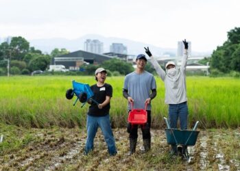 2025關渡那麼田系列活動登場 運動、市集、音樂、食農體驗一次滿足