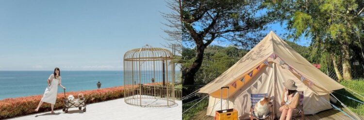 寵物友善露營 Top 6 推薦|帶毛小孩也能懶人露營 免裝備輕鬆享受星空露營趣 寵物友善露營 Top 6 推薦|帶毛小孩也能懶人露營 免裝備輕鬆享受星空露營趣