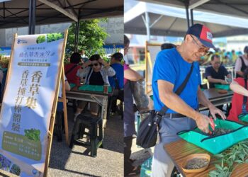 臺東東海岸香草魅力綻放 從產地培力到行銷市集打造永續農村