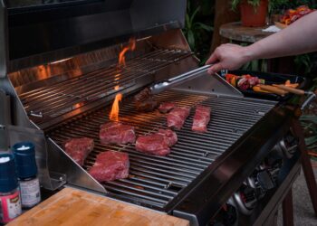 「威廉麗莎」精品烤爐登場台北戶外用品展 「威廉麗莎」精品烤爐登場台北戶外用品展