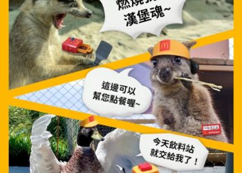 星夢森林劇場攜手麥當勞 快樂送動物夥伴登場 星夢森林劇場攜手麥當勞 快樂送動物夥伴登場
