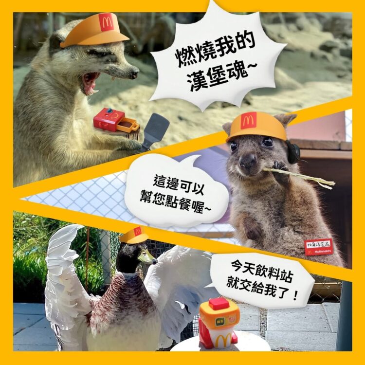 星夢森林劇場攜手麥當勞 快樂送動物夥伴登場 星夢森林劇場攜手麥當勞 快樂送動物夥伴登場