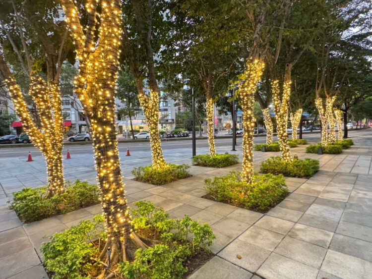 點亮聖誕光影季 用專業打造最溫暖節慶氛圍 點亮聖誕光影季 用專業打造最溫暖節慶氛圍