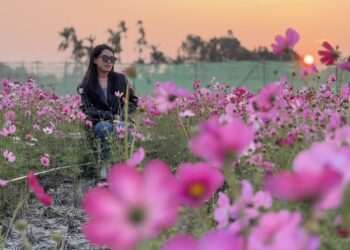 探索田尾「花鄉」美景!入住彰化民宿「好日子」體驗最在地的旅程 探索田尾「花鄉」美景!入住彰化民宿「好日子」體驗最在地的旅程