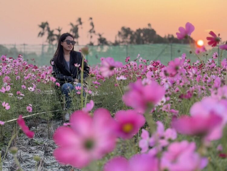 探索田尾「花鄉」美景!入住彰化民宿「好日子」體驗最在地的旅程 探索田尾「花鄉」美景!入住彰化民宿「好日子」體驗最在地的旅程