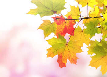 熹歐禾衣著療癒學 找回秋日心平衡 SiOHER熹歐禾衣著療癒學 用顏色與溫度 找回秋日心平衡