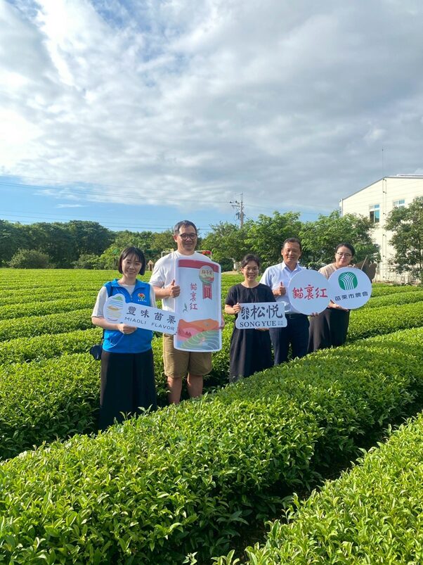 從苗栗山城到新加坡餐桌《豐味苗栗》貓裏紅登上五星級餐桌 從苗栗山城到新加坡餐桌《豐味苗栗》貓裏紅登上五星級餐桌