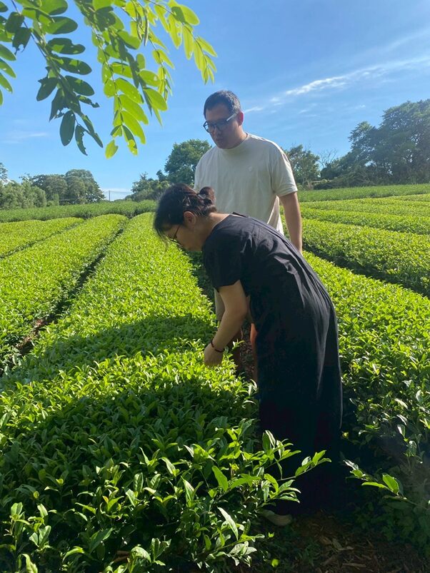 從苗栗山城到新加坡餐桌《豐味苗栗》貓裏紅登上五星級餐桌 從苗栗山城到新加坡餐桌《豐味苗栗》貓裏紅登上五星級餐桌