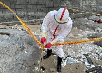 海巡署嚴守國門防疫總動員 連假前夕馬祖北竿發現海漂豬即啟動應變機制