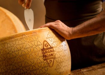 來自歐洲的幸福滋味  名廚林耀輝 親訪產地分享風味筆記  帕達諾乳酪 Grana Padano PDO 登台推廣計畫公開 來自歐洲的幸福滋味  名廚林耀輝 親訪產地分享風味筆記  帕達諾乳酪 Grana Padano PDO 登台推廣計畫公開