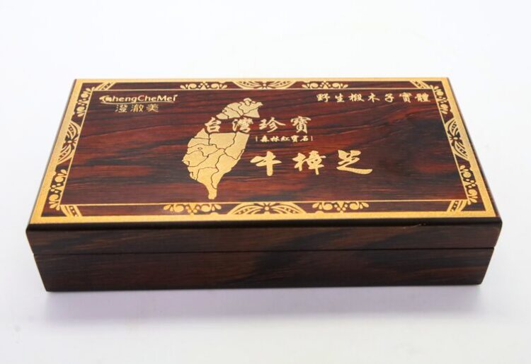 珍稀牛樟芝跨界保養！森林紅寶石能量注入日常護理 澄澈美能量綻放