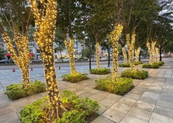 阿囉哈LED總匯點亮聖誕光影季 用專業打造最溫暖的節慶氛圍 阿囉哈LED總匯點亮聖誕光影季 用專業打造最溫暖的節慶氛圍