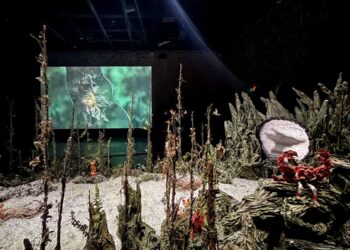 響應「臺灣文化日」 臺東美術館當日免費入場參觀 響應「臺灣文化日」 臺東美術館當日免費入場參觀