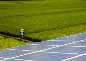 睿禾以「生態綠洲」亮相智慧能源週 打造人與自然共生的永續城市