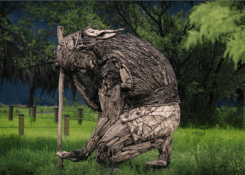 縱谷大地藝術季-漂鳥197榮獲國際雙獎