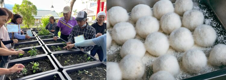 「電光社區酒麴植物園開箱」!來到台東玩里山 看植物變美味,文化體驗一次到位 「電光社區酒麴植物園開箱」!來到台東玩里山 看植物變美味,文化體驗一次到位