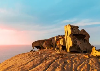 國泰航空香港往返阿德雷德航線啟航 國泰航空香港往返阿德雷德航線啟航