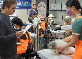 AI 時代最強「不被取代」職涯!角落貓學堂攜手 KCT 推出南台灣首場貓美容檢定 AI 時代最強「不被取代」職涯!角落貓學堂攜手 KCT 推出南台灣首場貓美容檢定