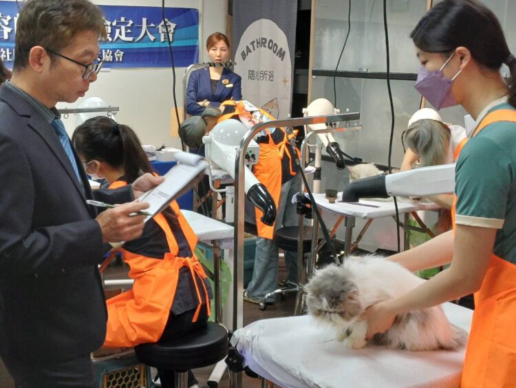 AI 時代最強「不被取代」職涯!角落貓學堂攜手 KCT 推出南台灣首場貓美容檢定 AI 時代最強「不被取代」職涯!角落貓學堂攜手 KCT 推出南台灣首場貓美容檢定