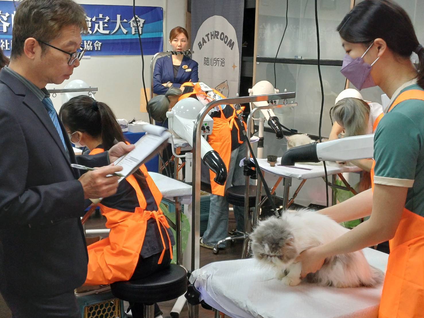 AI 時代最強「不被取代」職涯!角落貓學堂攜手 KCT 推出南台灣首場貓美容檢定 AI 時代最強「不被取代」職涯!角落貓學堂攜手 KCT 推出南台灣首場貓美容檢定