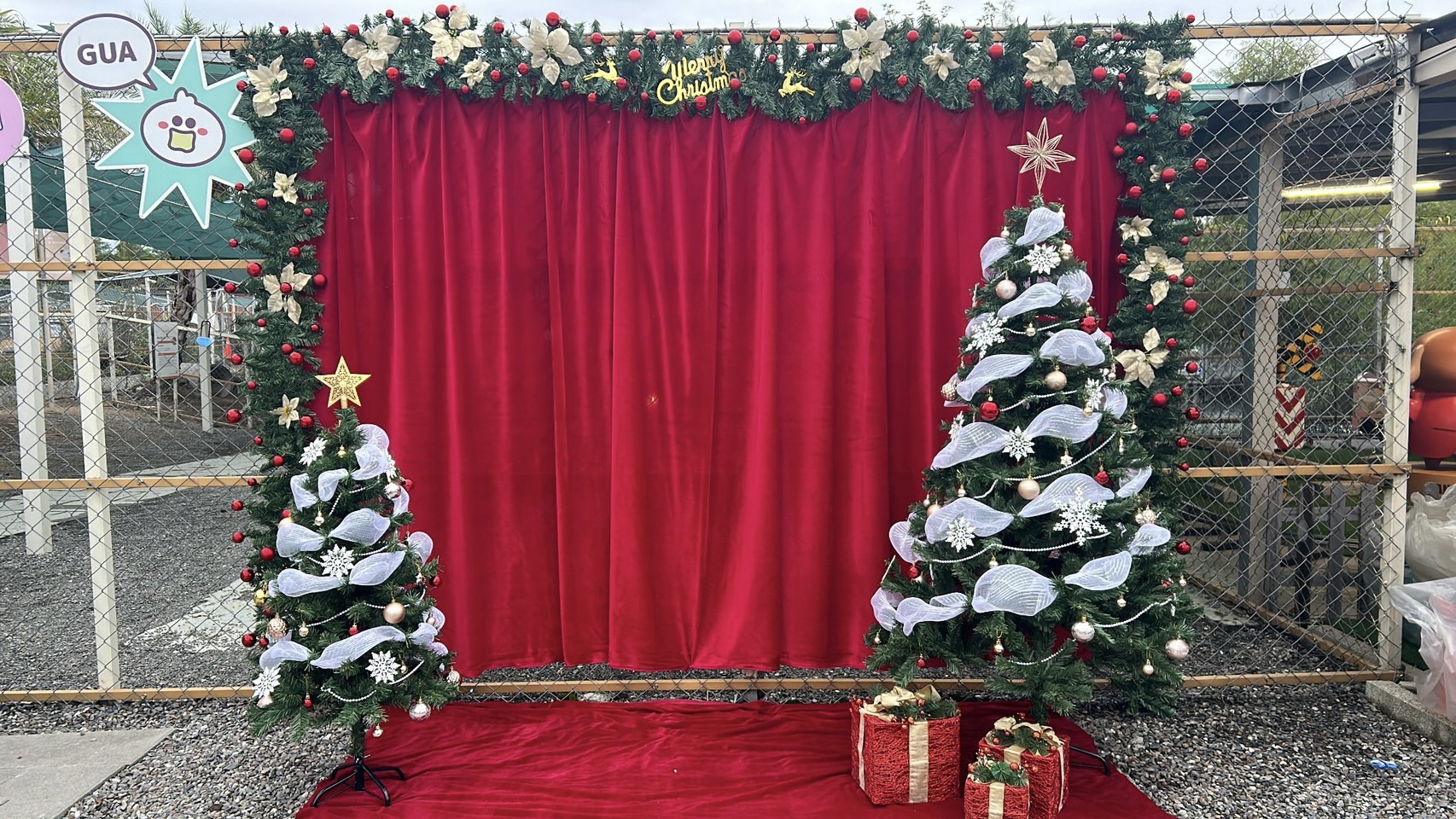 宜蘭首創「策展式」萌寵樂園！星夢森林劇場變身聖誕夢境