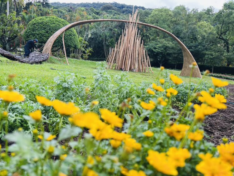 士林官菊展11/28繽紛登場 結合花藝美學、城市故事與逐夢能量