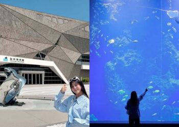 台中親子景點|開箱台中新地標 台中海洋館門票、交通、必看展區懶人包 台中親子景點|開箱台中新地標 台中海洋館門票、交通、必看展區懶人包