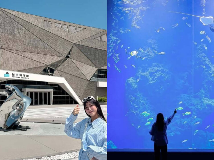 台中親子景點｜開箱台中新地標！台中海洋館門票、交通、必看展區懶人包