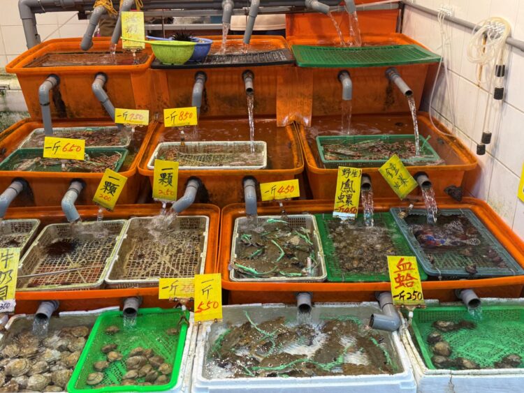 新北萬里蟹季進入尾聲 龜吼漁夫市集邀民眾把握最後品蟹機會 享受鮮甜海味