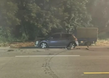 肇事逃逸挖出案外案！男子自製偽牌被抓包 恐轉行監獄手作餅乾