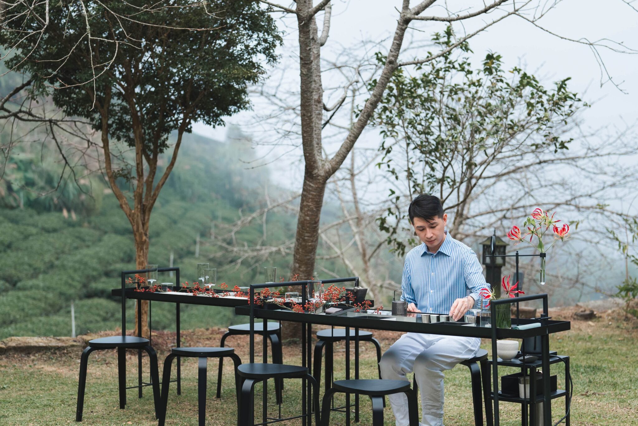 阿里山茶再登國際舞台 洪崇倫法國AVPA世界茶葉大賽奪金銀雙獎