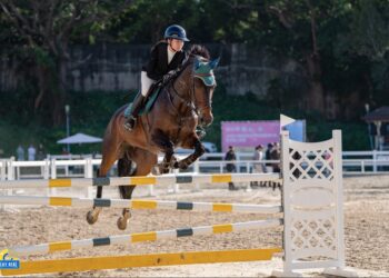 馬術》16歲馬術少女陳芃蓁 從跌倒到自信堅毅之路