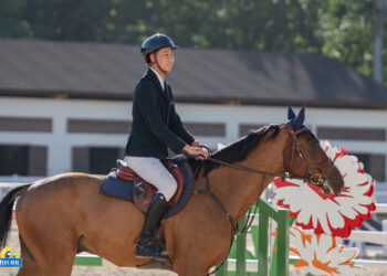 馬術》王崇皓專注馬術成長 挑戰自我迎向國際舞台