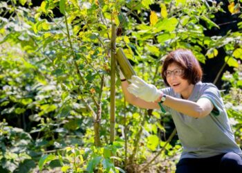 誠美材料歡慶二十週年 200 人齊植 2,000 株原生樹 樹立科學造林與企業永續新標竿