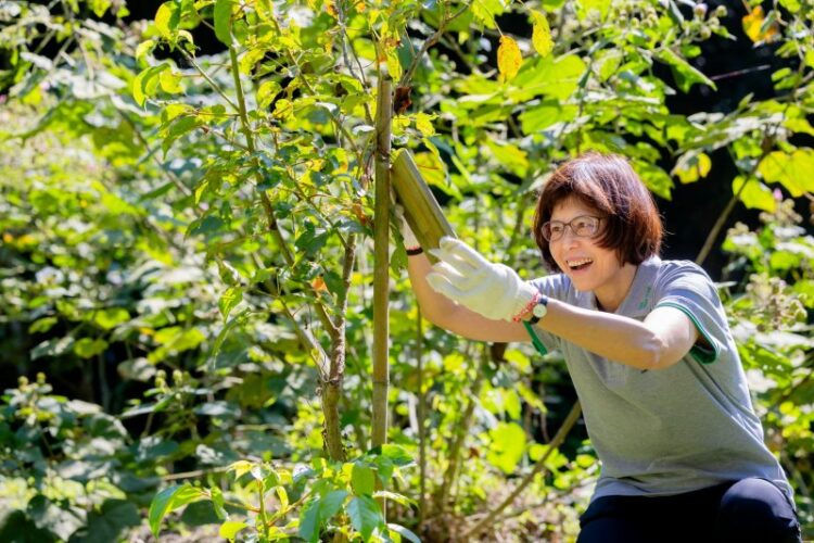 誠美材料歡慶二十週年 200 人齊植 2,000 株原生樹 樹立科學造林與企業永續新標竿