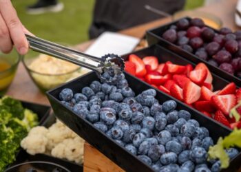 7000坪森林落羽松變色登場！青青食尚花園推聖誕限定「星空BBQ派對」 早鳥最低1380元