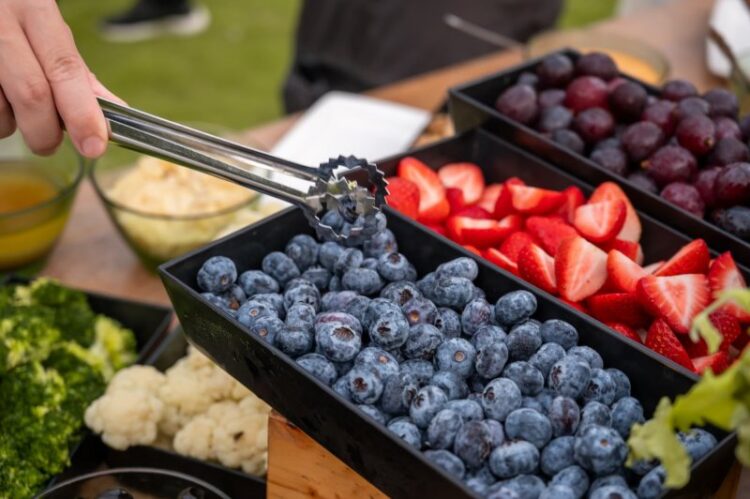 7000坪森林落羽松變色登場！青青食尚花園推聖誕限定「星空BBQ派對」 早鳥最低1380元