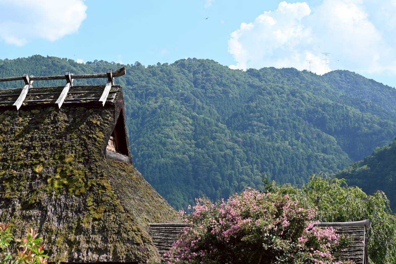 日本關西行程悄悄夯起來!內行人搶搭「這班神秘列車」卡友限定玩法曝光 日本關西行程悄悄夯起來!內行人搶搭「這班神秘列車」卡友限定玩法曝光