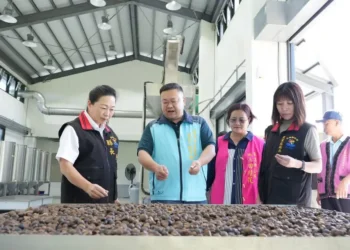 全國油茶籽及茶油品評遴選 花蓮苦茶油展現產業實力 全國油茶籽及茶油品評遴選 花蓮苦茶油展現產業實力