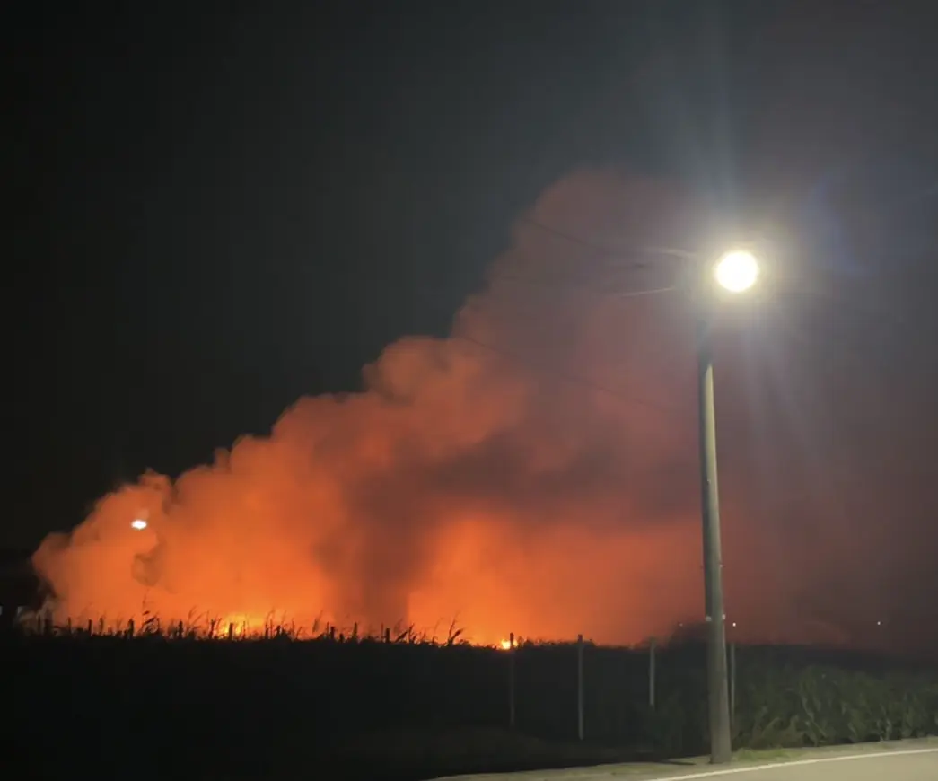 嘉義東石墓園深夜火警 蔡良闊慈善會召集人蔡良慶暖心送熱食慰勞消防