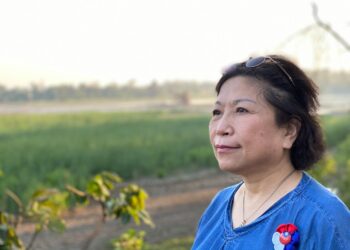 判決可以爭辯 但審判不能在恐懼中進行