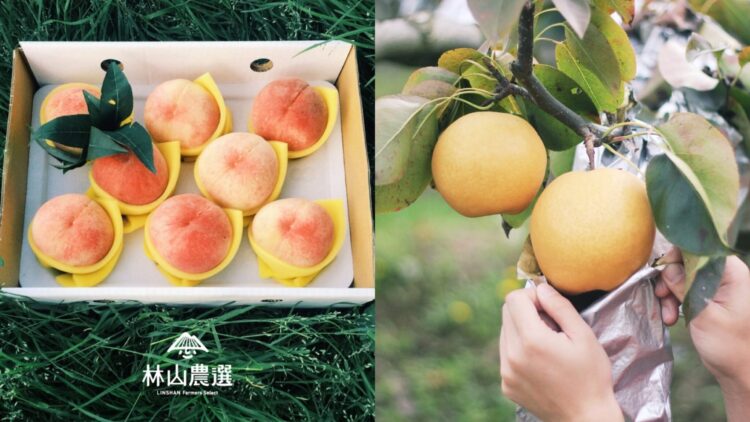 林山農選臺灣最頂高山水果 2025年底正式無憂進入家庭 林山農選臺灣最頂高山水果 2025年底正式無憂進入家庭