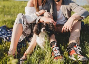 《當毛孩老了,而我們沒有失去教育》 《當毛孩老了,而我們沒有失去教育》