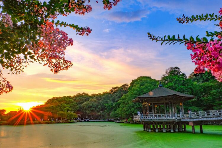 奈良縣產草莓「古都華」× 台北人氣甜點店