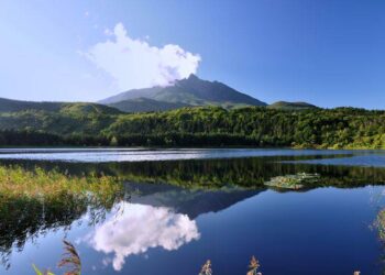 雙獎榮耀！太平洋旅行社榮獲金旅獎、發現心日本獎  累計獎項領先業界