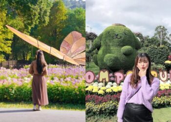 台北一日遊｜士林賞菊一日遊攻略 從早午餐、賞花到夜市美食完美行程
