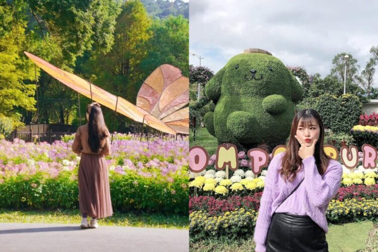 台北一日遊｜士林賞菊一日遊攻略！從早午餐、賞花到夜市美食的完美行程！