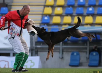 台灣訓犬第一品牌 「西北訓犬學苑」邵秀蘭攜愛犬Ricky 匈牙利WUSV世界賽勇奪佳績