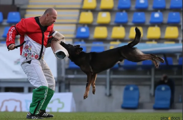 台灣訓犬第一品牌 「西北訓犬學苑」邵秀蘭攜愛犬Ricky 匈牙利WUSV世界賽勇奪佳績 台灣訓犬第一品牌 「西北訓犬學苑」邵秀蘭攜愛犬Ricky 匈牙利WUSV世界賽勇奪佳績