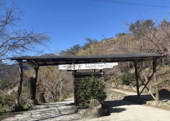 最美部落司馬庫斯賞櫻 可不能「說走就走」